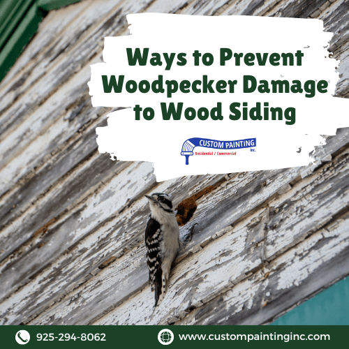 Ways to Prevent Woodpecker Damage to Wood Siding for your home in the Dublin, Livermore, San Ramon, and Pleasanton area